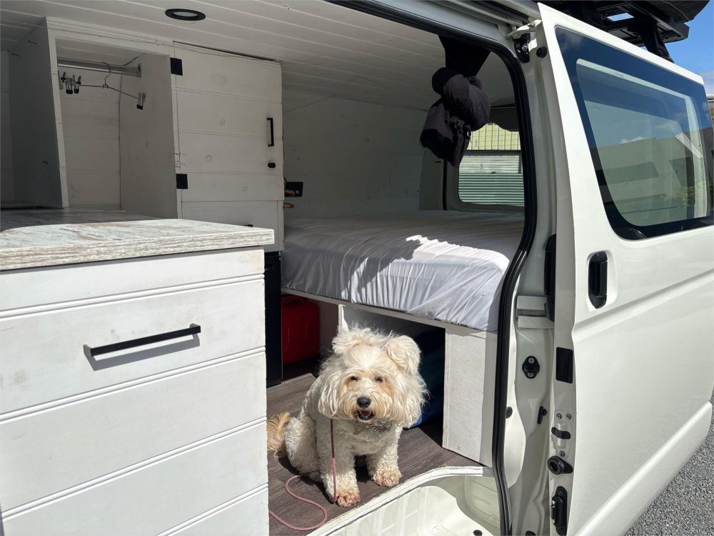 2016 TOYOTA HIACE LWB Campervan image 9